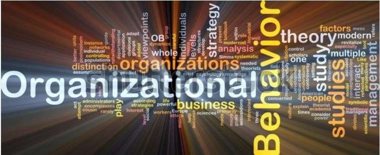 Organizational Behaviour